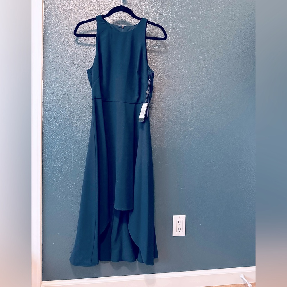 Adrianna Papell dress